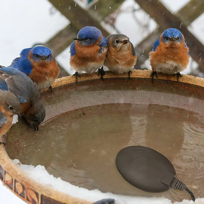 70 Watt Bird Bath De-icer with 3' Cord