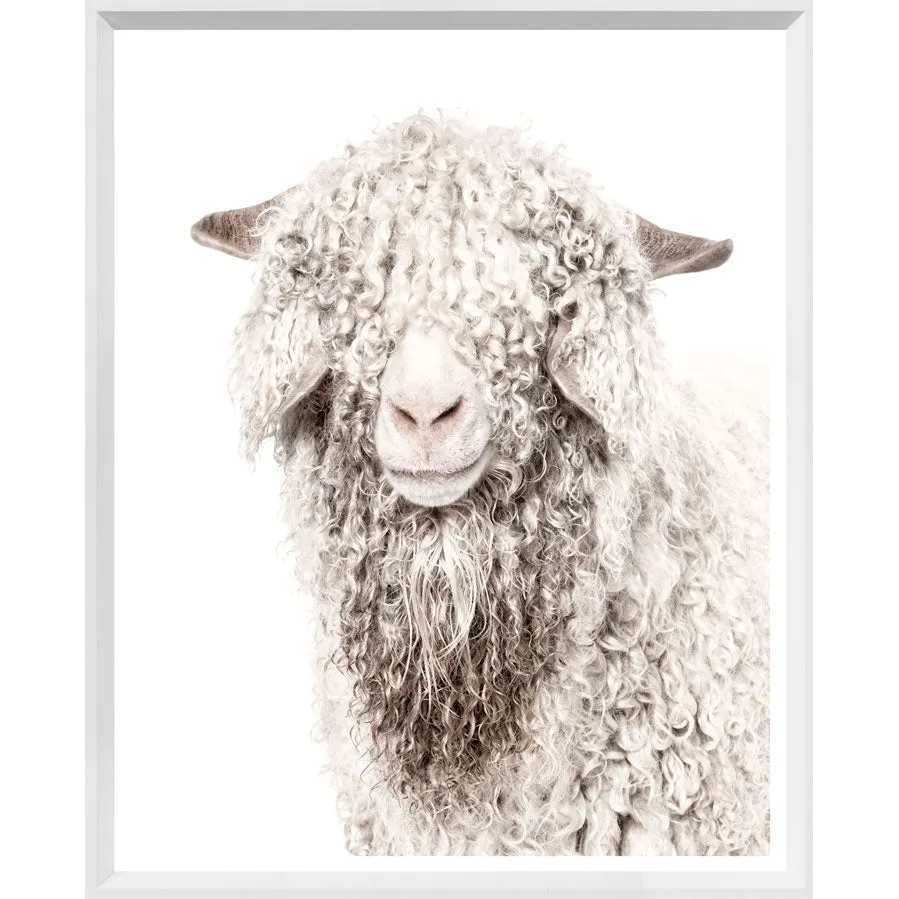 Angora Goat Wall Art